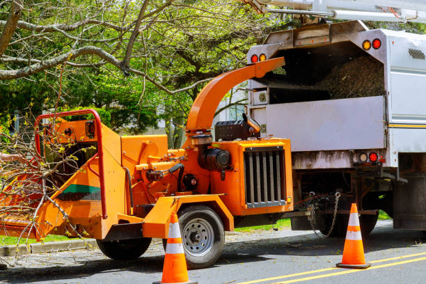 Tree and Shrub Care in Holiday City South, NJ